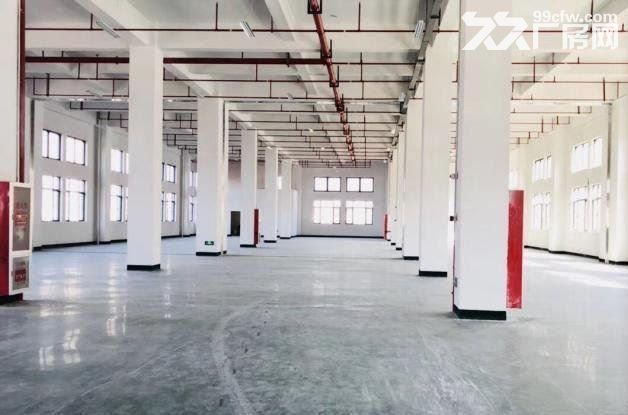 出租龙湾滨海厂房小微园-图1