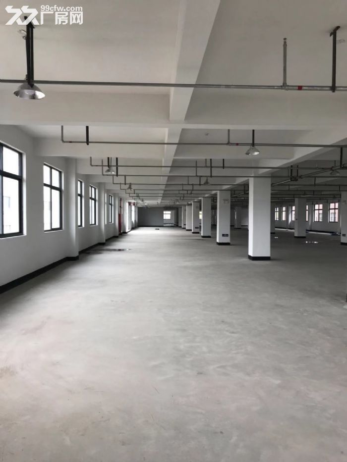 泽雅工业区厂房12000平米出租适合各种行业。-图1