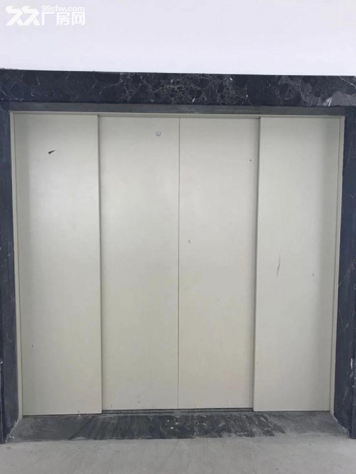 泽雅工业区厂房12000平米出租适合各种行业。-图2