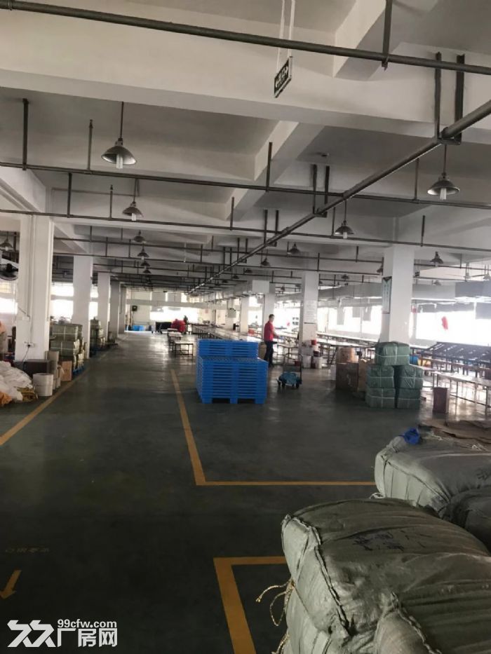 平阳万洋小微园厂房3600平米出租，适合五金，汽摩配，服装机械-图1