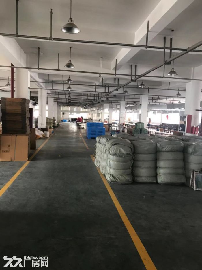 平阳万洋小微园厂房3600平米出租，适合五金，汽摩配，服装机械-图2