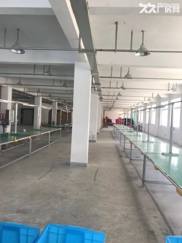 平阳万洋小微园厂房3600平米出租，适合五金，汽摩配，服装机械-图5