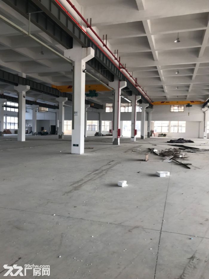 龙湾滨海园区一楼厂房600平米出租高度7米，适合各种行业。-图1