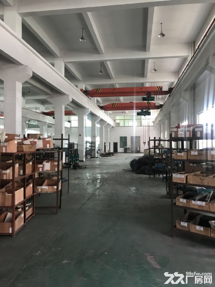 龙湾滨海园区一楼厂房600平米出租高度7米，适合各种行业。-图5