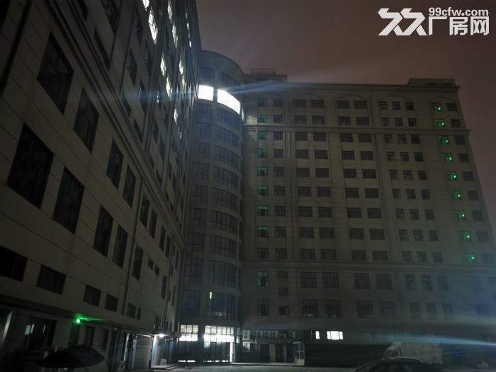 飞云全新厂房 每层2600平方 190元-图2