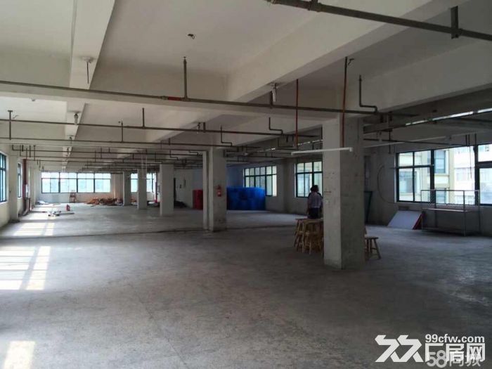 瓯海仙岩工业区厂房出租1500平-图3