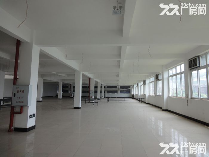 高翔工业区厂房分租1000&minus;&minus;2600-图3