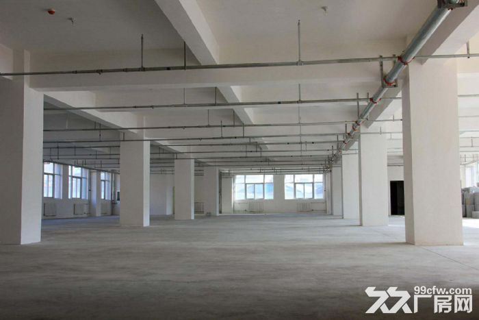 仙岩厂房出租 一个层面750-图1