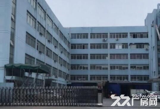 仙岩工业区标准厂房出租 一楼1000-图1