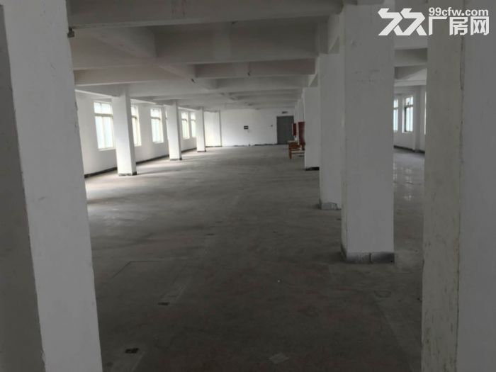 瓯海仙岩工业区厂房出租9000平 可分租-图3