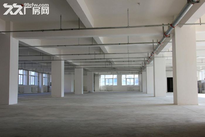 泽雅戈恬工业区厂房出租2500平 可分租-图1