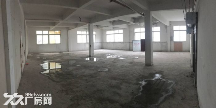 泽雅戈恬工业区厂房出租2500平 可分租-图3