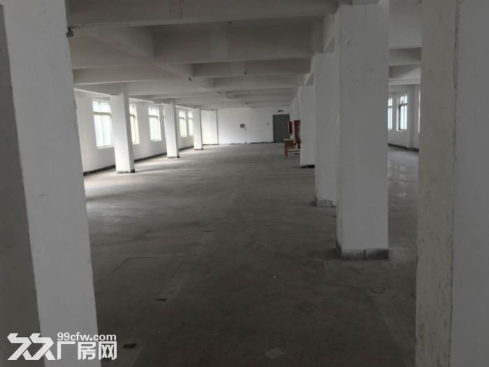 瓯海泽雅戈恬工业区厂房出租2500平-图5