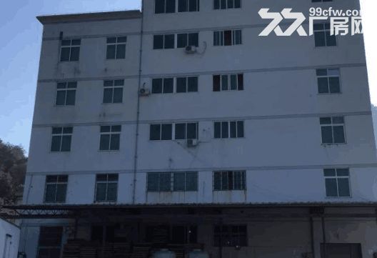 炬光园标准厂房出租1000-图1