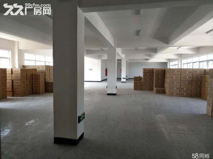 鹿城炬光园标准厂房出租12000平-图3