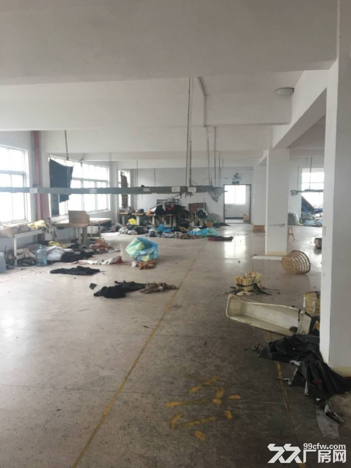 鹿城炬光园标准厂房出租12000平-图5