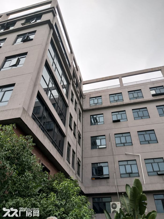 炬光园650平方，适合办公，样品室-图2