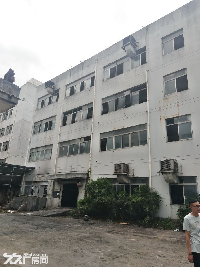 慈湖东庄标准厂房2400平方，轻重工均可-图2