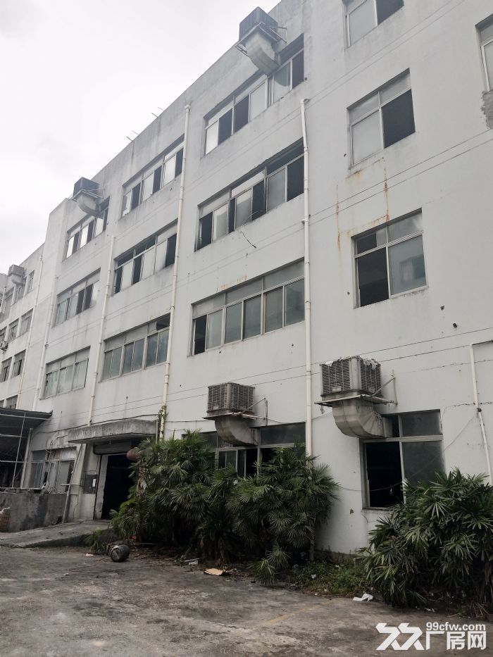 慈湖东庄标准厂房2400平方，轻重工均可-图1