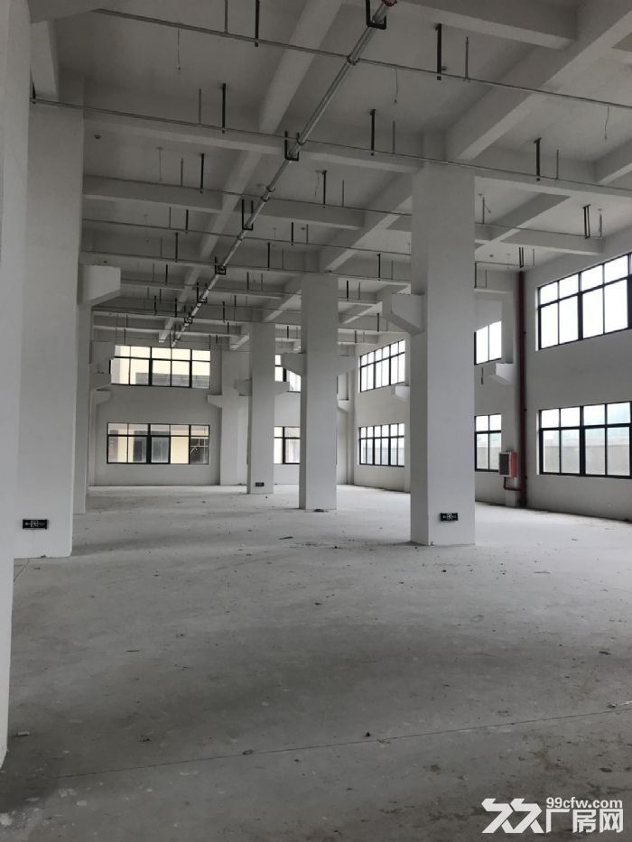 福鼎工业区一楼厂房3500平米出租高度6米5适合各种行业-图1