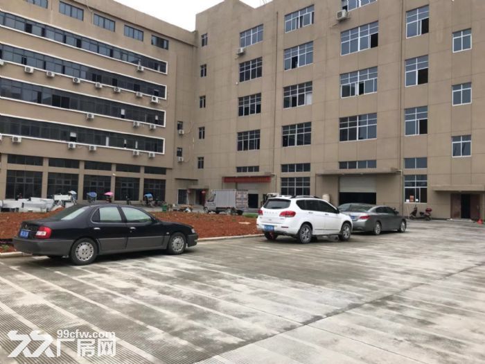 福鼎工业区一楼厂房3500平米出租高度6米5适合各种行业-图4