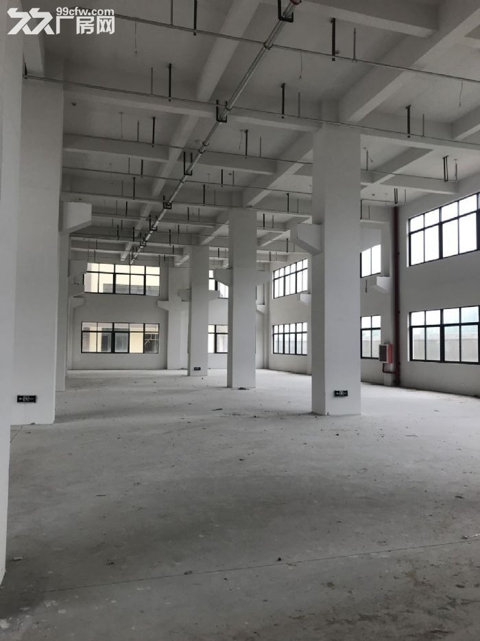 福鼎贯岭工业区厂房8000平米出租-图1