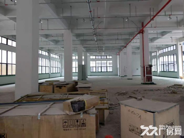 滨海独栋4000平有喷淋地坪漆货梯3吨价格15-图1