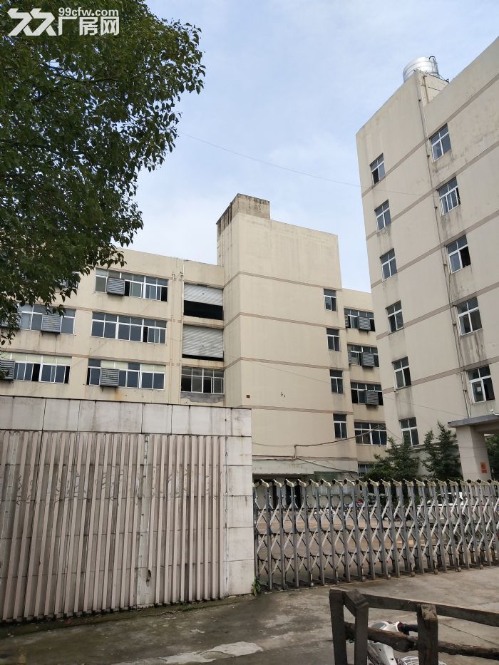 高翔标准厂房1100平方，已腾空-图1