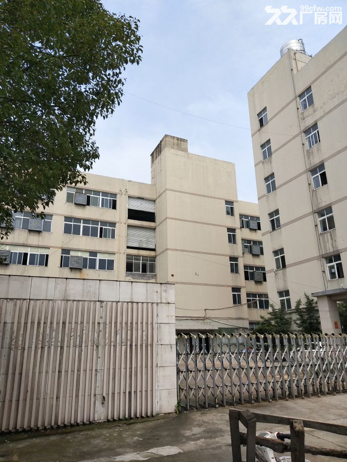 梧田标准厂房2000平方，适合仓库-图1