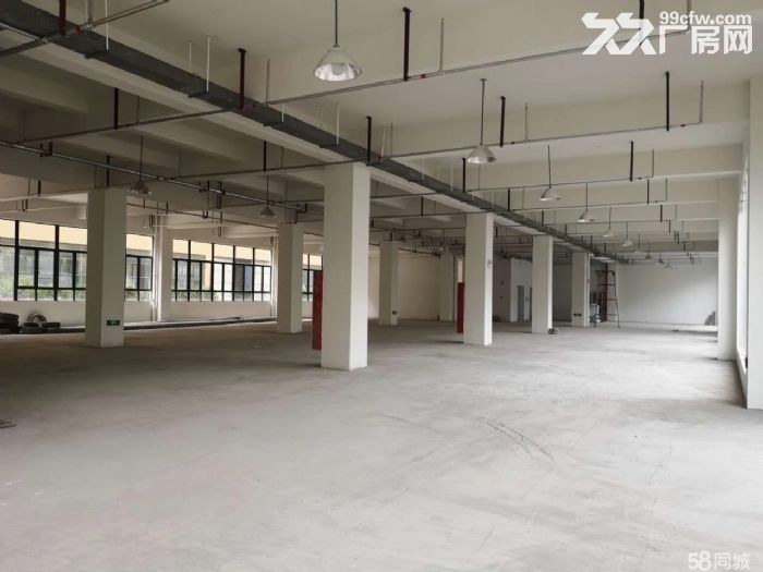 泽雅厂房出租1200平-图1