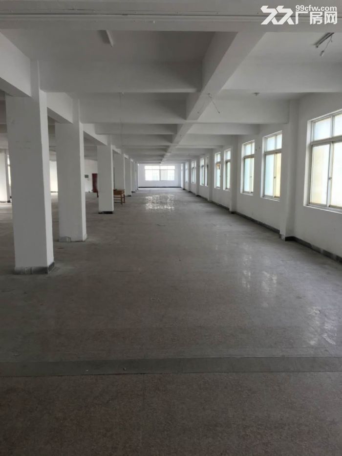 瓯海仙岩工业区厂房出租1000平-图4