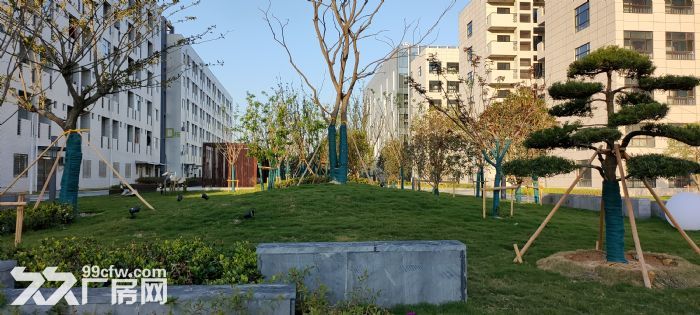 多彩中德科创园高标准厂房、宿舍、写字楼招租-图4