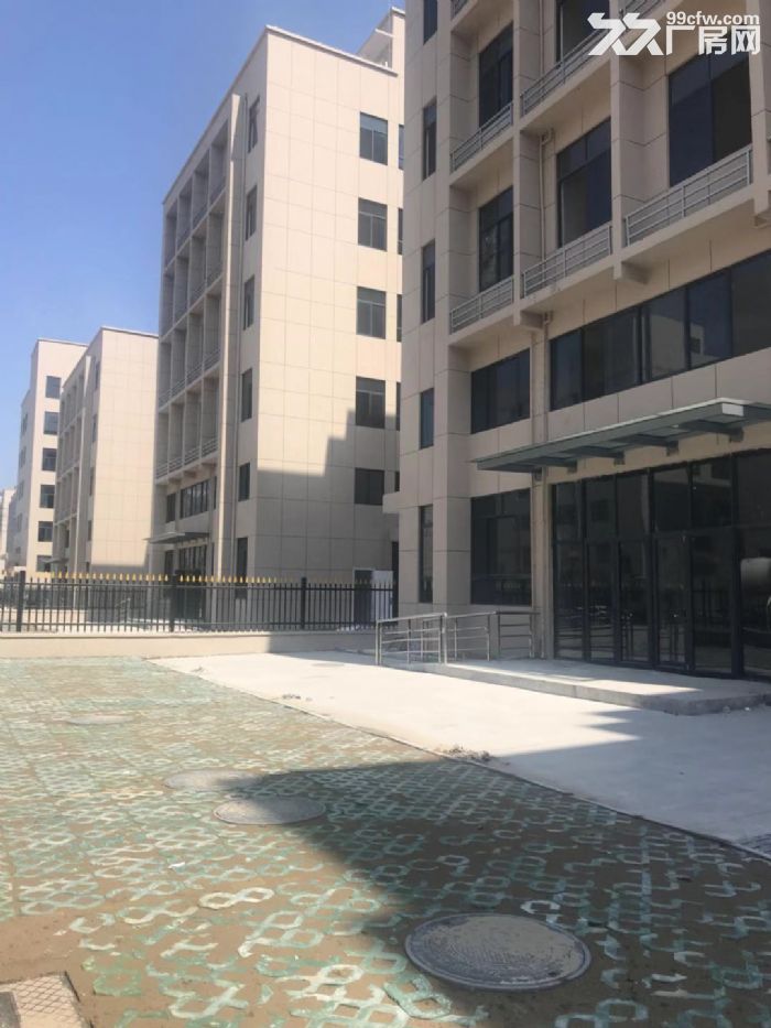 瓯江口文博小微园厂房2100平米出租适合各种行业-图6