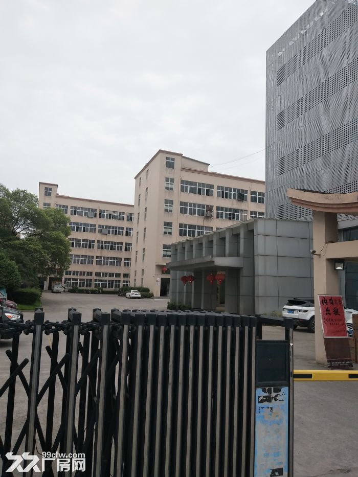 上汇标准厂房2000平方-图1