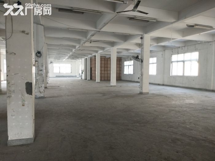 梧田标准厂房1楼1200，层高5米-图1