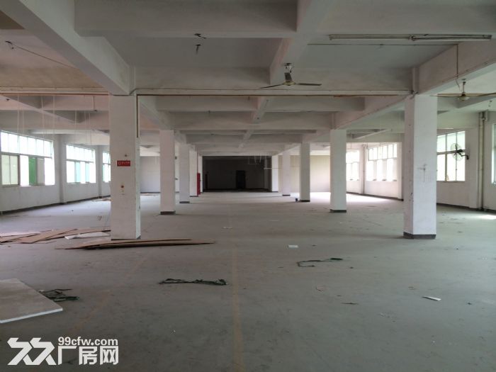 泽雅标准厂房1500平方一个层面出租适合各行各业-图1