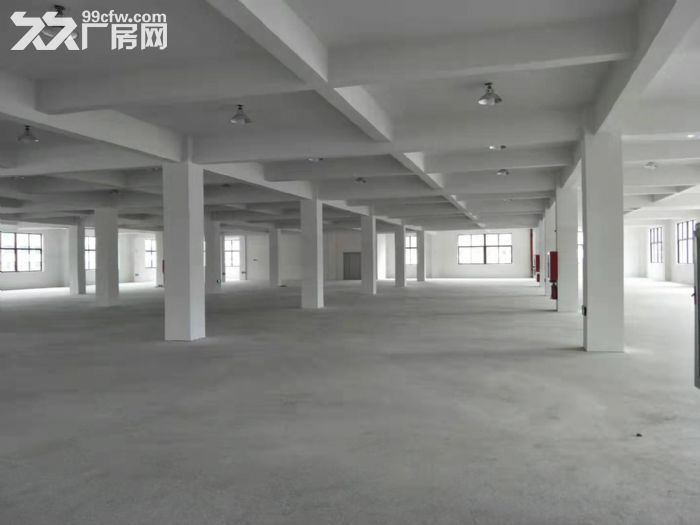 梧田工业区全新厂房3000平方  可分租。适合各行各业.-图2