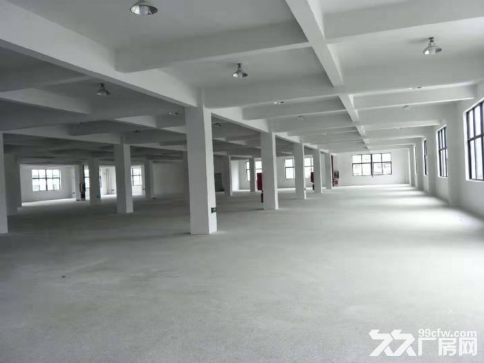 梧田工业区全新厂房3000平方  可分租。适合各行各业.-图4