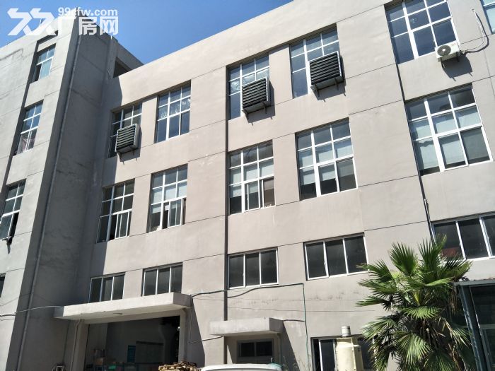 仙岩工业区标准厂房1600平方一个平面服装，眼镜，装搭等-图1