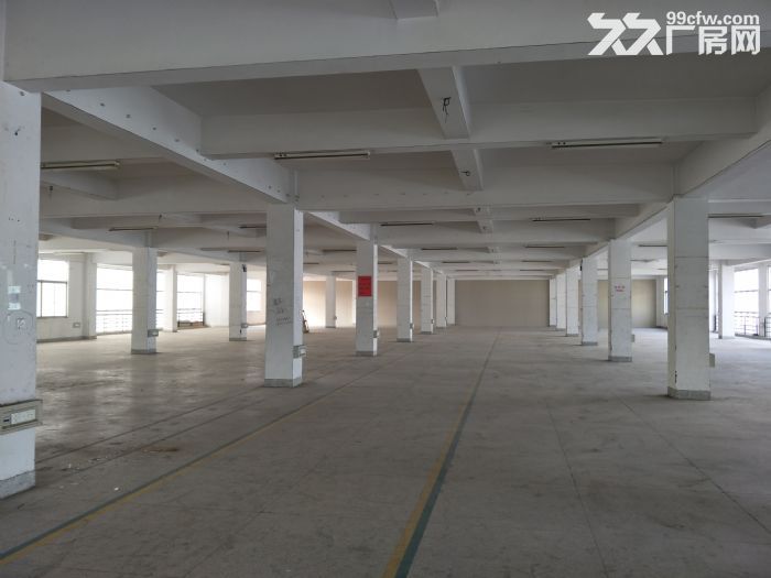 仙岩工业区标准厂房1600平方一个平面服装，眼镜，装搭等-图4