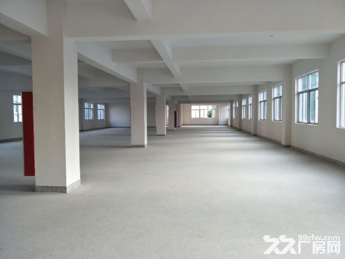 藤桥工业区7000平方独门独院标准厂房-图2