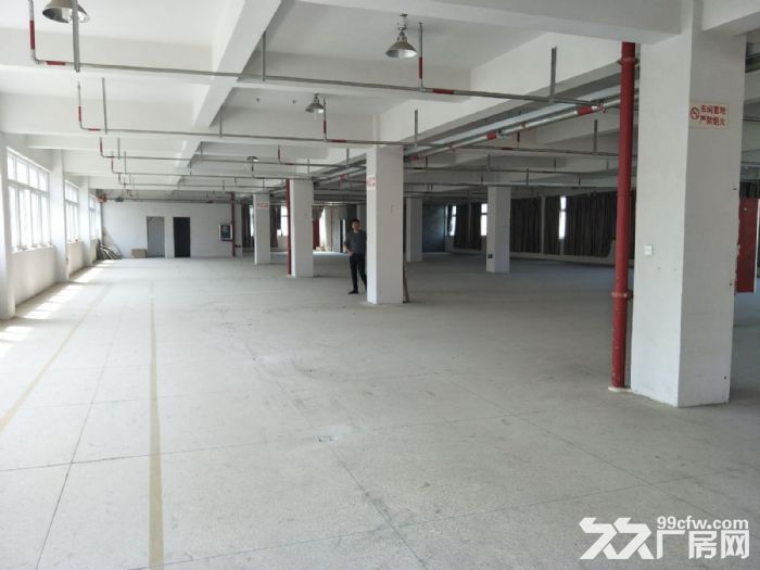 藤桥工业区7000平方独门独院标准厂房-图4