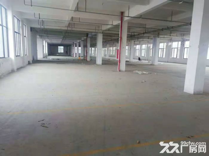 梧田工业区全新独栋2100平方，适合装搭，仓库，电商办公等-图2