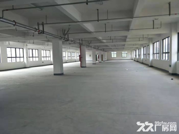 梧田工业区2000平方，配宿舍。适合服装，包装等-图3