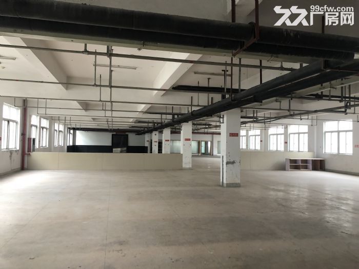 龙湾高新技术产业开发区框架厂房1250平 交通便利招人方便-图2