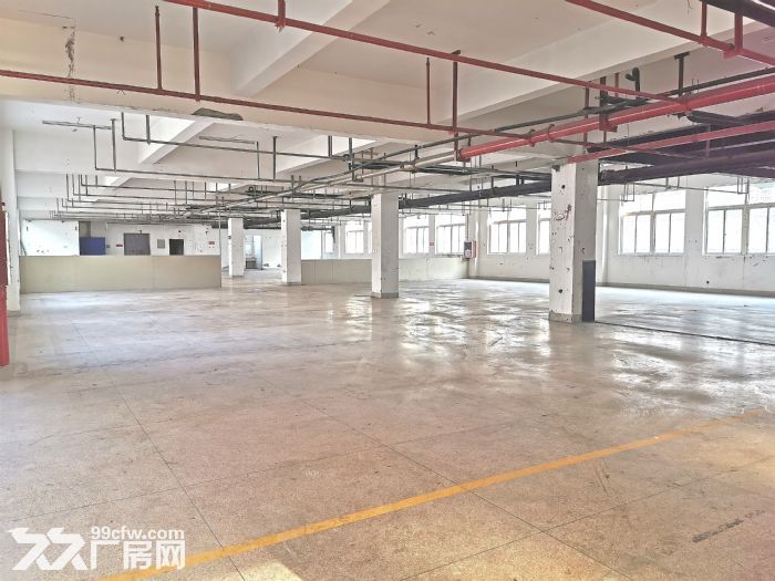 温州东高速口1000平方标准厂房 有货梯 交通方便-图6