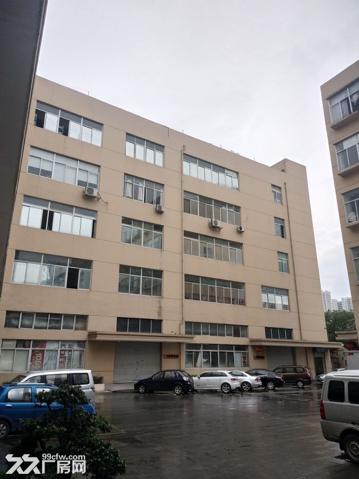 炬光园标准厂房，一楼500平方，4楼2000平方-图2