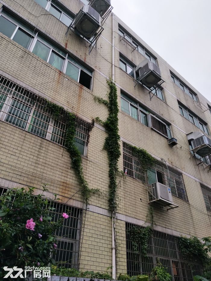 炬光园4000平方，适合轻工行业 ，无污染，-图1