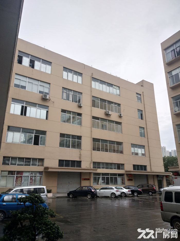 炬光园标准办公楼440平方，现已腾空-图1