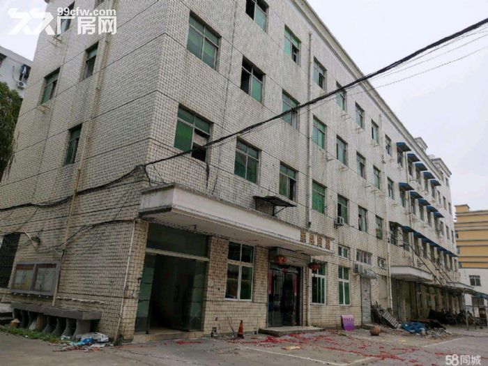 文昌路8400方 两栋 一楼店面 位置好 宜各行业需要-图3